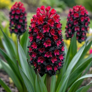 Гиацинт Джем Стоун купить по цене от 2099р. в интернет-магазине «Посадика» с доставкой почтой в в Порхове и по всей России – [изображение №1].