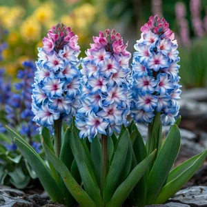 Гиацинт Пинк Мари купить по цене от 2099р. в интернет-магазине «Посадика» с доставкой почтой в в Порхове и по всей России – [изображение №1].