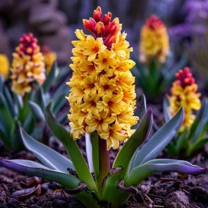 Гиацинт Миднайт Мистери купить по цене от 2099р. в интернет-магазине «Посадика» с доставкой почтой в в Порхове и по всей России – [изображение №1].