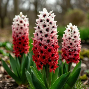 Гиацинт Скай Гарден купить по цене от 2099р. в интернет-магазине «Посадика» с доставкой почтой в в Порхове и по всей России – [изображение №1].