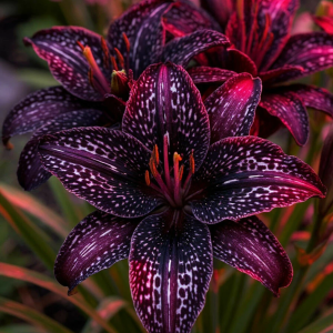 Лилейник Вояж купить по цене от 699р. в интернет-магазине «Посадика» с доставкой почтой в в Порхове и по всей России – [изображение №1].